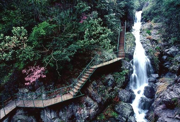 宁波梁皇山