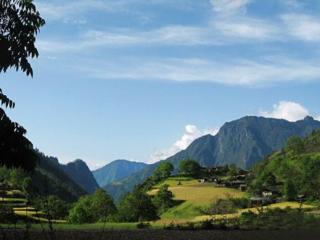 兰坪罗古箐风景区
