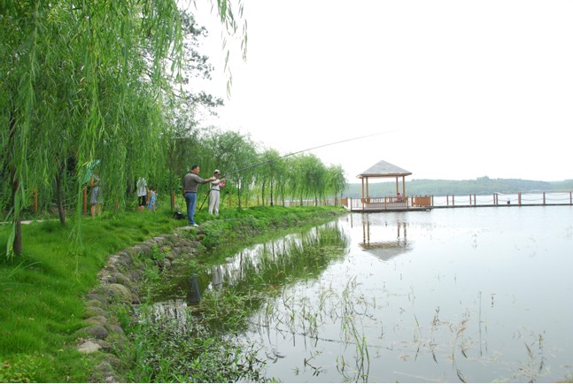 滁州白鹭岛景区