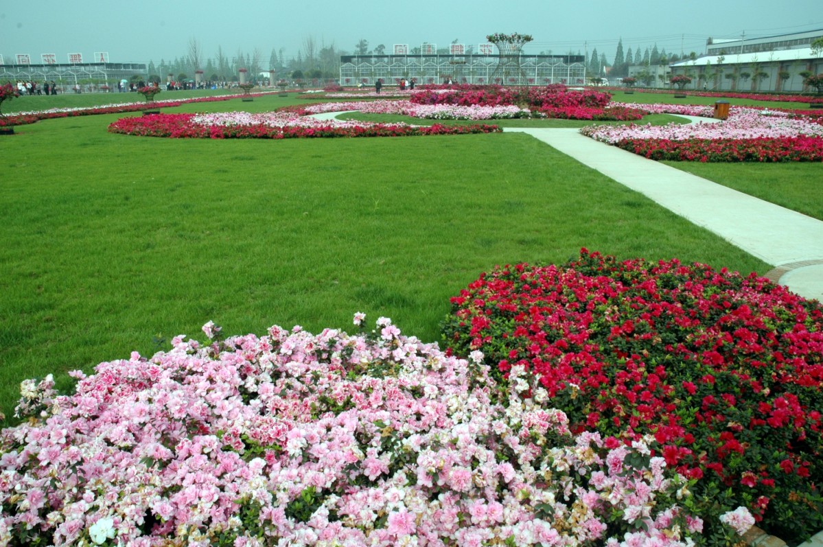 成都花舞人间旅游景区