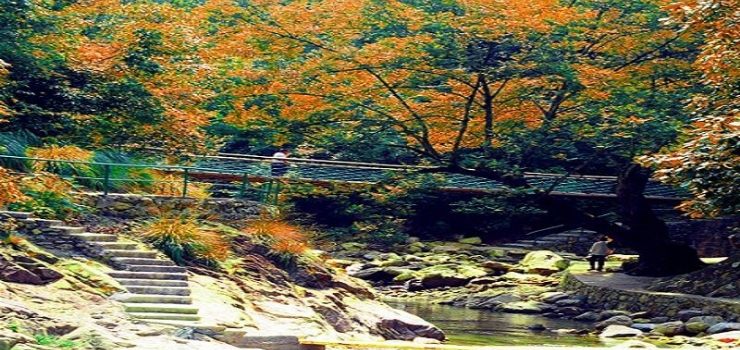 黄山徽州大峡谷景区
