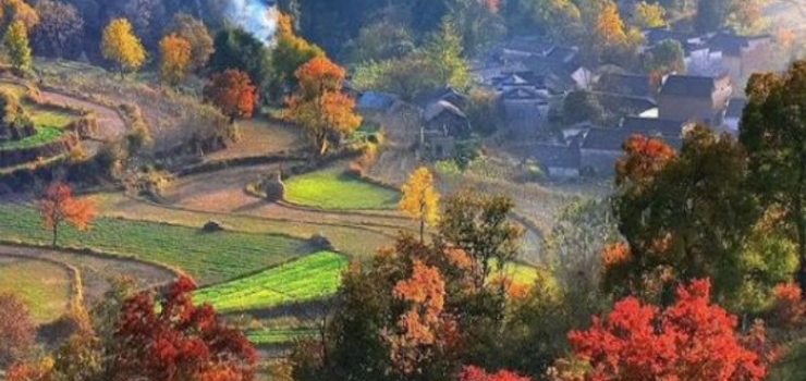 黄山塔川景区