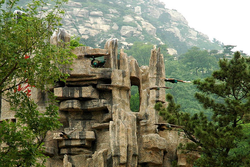 山东临沂苍马山国际旅游度假区