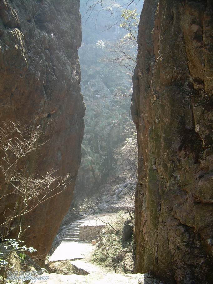 目的地 江西省 九江市 九江神雾山风景区  游客您好!