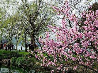 幸福梅林景区