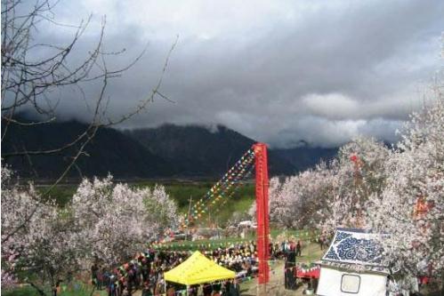 姚渡龙门桃花沟景区