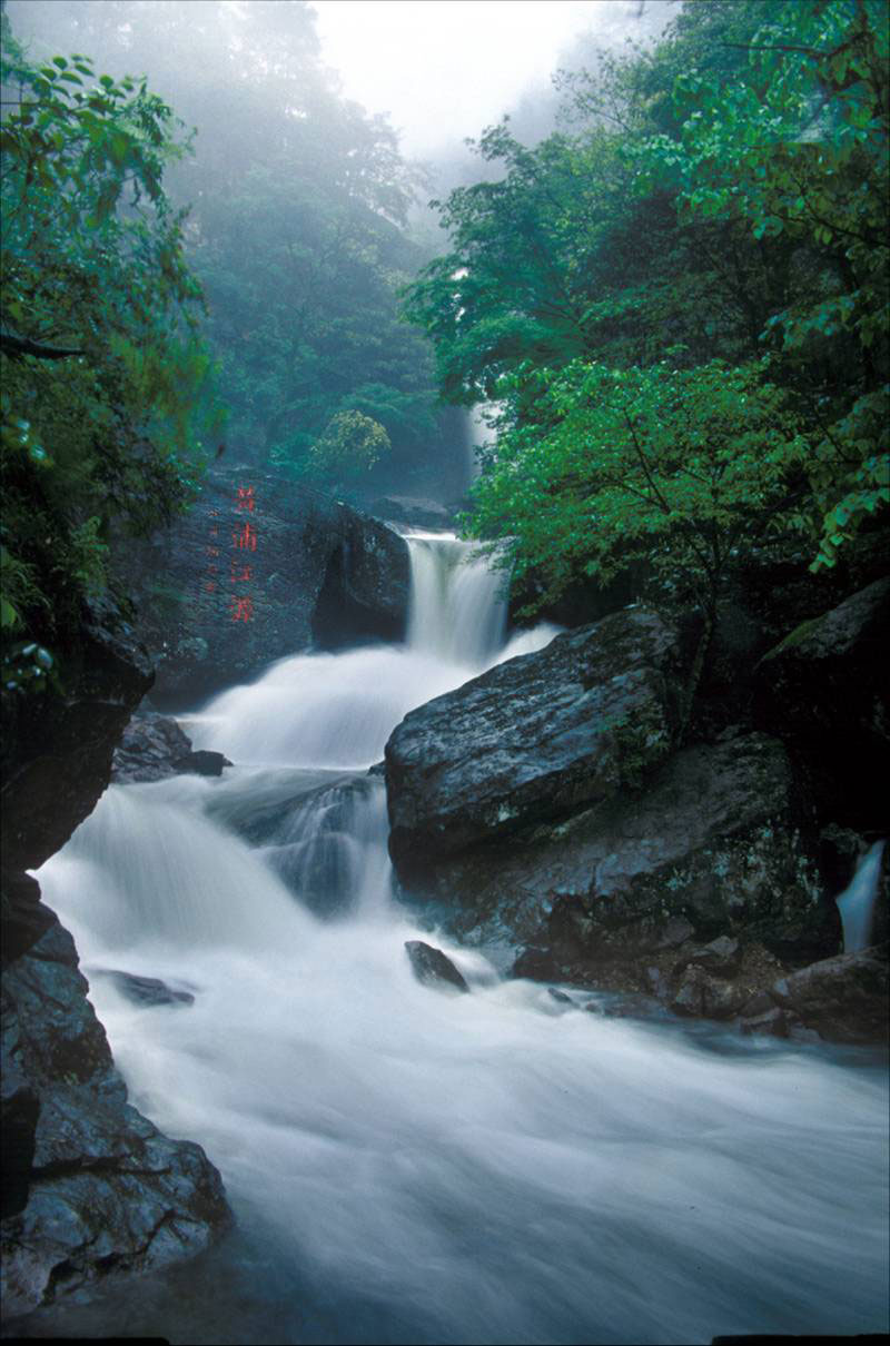 龙王山自然保护区