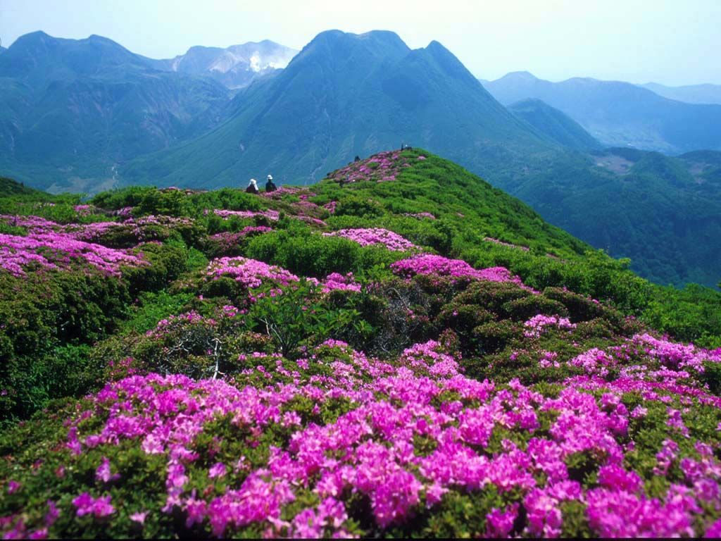 江西井冈山杜鹃山索道