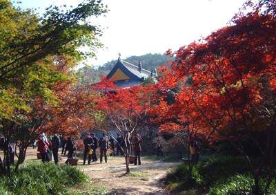 南京栖霞山风景区旅游攻略_南京栖霞山风景区门票-一