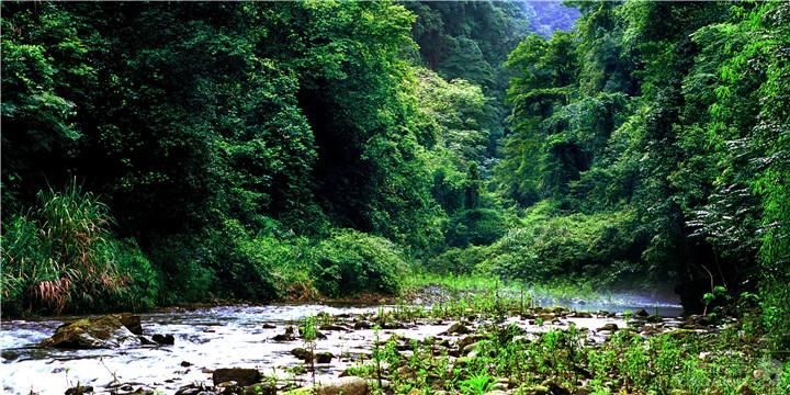 毕节金沙景区