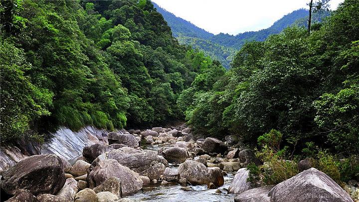 南平黄岗山大峡谷 景区特色 大安源黄岗山大峡谷以水见长,对外宣传是